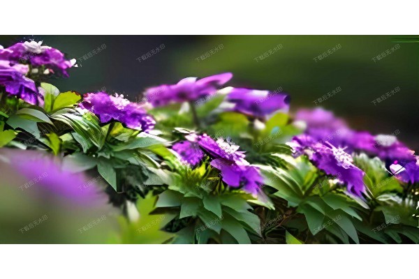 武汉程式盲人按摩，一技之长，舒心养生！