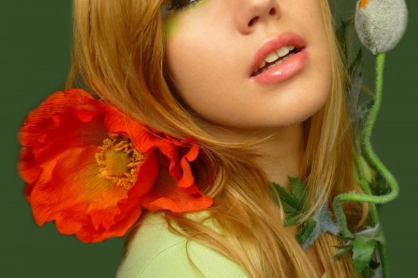 武汉商务品茶，品味非凡的商务之道